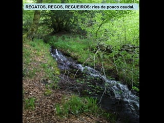 REGATOS, REGOS, REGUEIROS: ríos de pouco caudal.

 