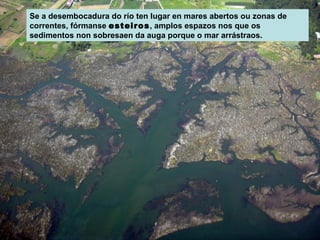 Se a desembocadura do río ten lugar en mares abertos ou zonas de
correntes, fórmanse esteiros, amplos espazos nos que os
sedimentos non sobresaen da auga porque o mar arrástraos.

 