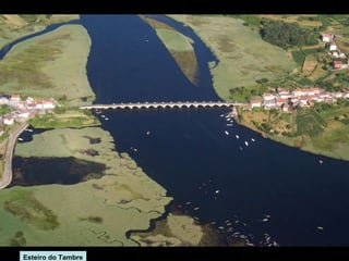 Esteiro do Tambre

 
