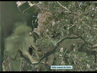 Delta mareal do Umia.

 
