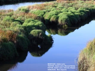 MONTAXE: Adela Leiro
TEXTOS: Adela Leiro, Manuel Núñez.
FOTOS: Adela Leiro, Internet, Sixpac
DEBUXOS: Mon Daporta

 