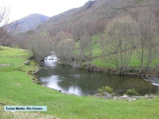 Curso Medio. Río Conso.

 