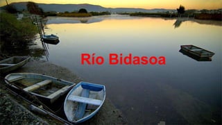Río Bidasoa

 