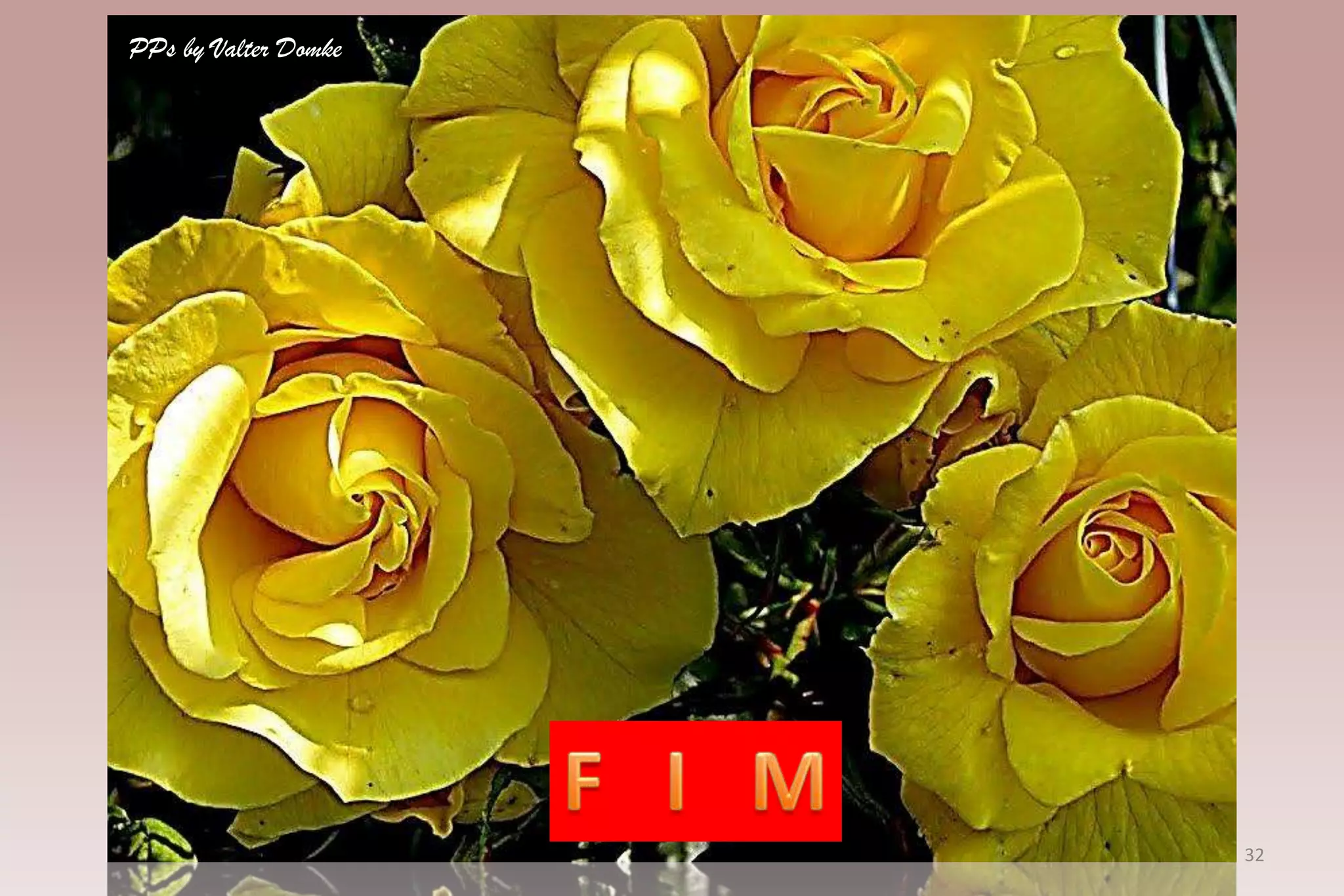 PPs by Valter Domke




                      32
 