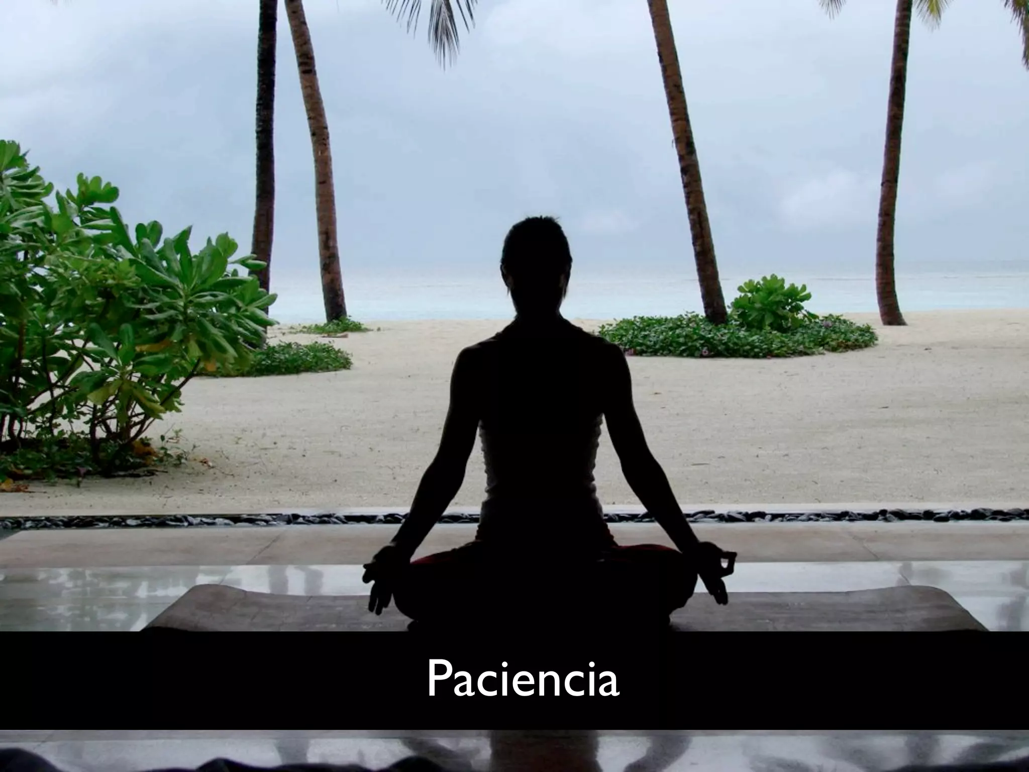 Paciencia
 