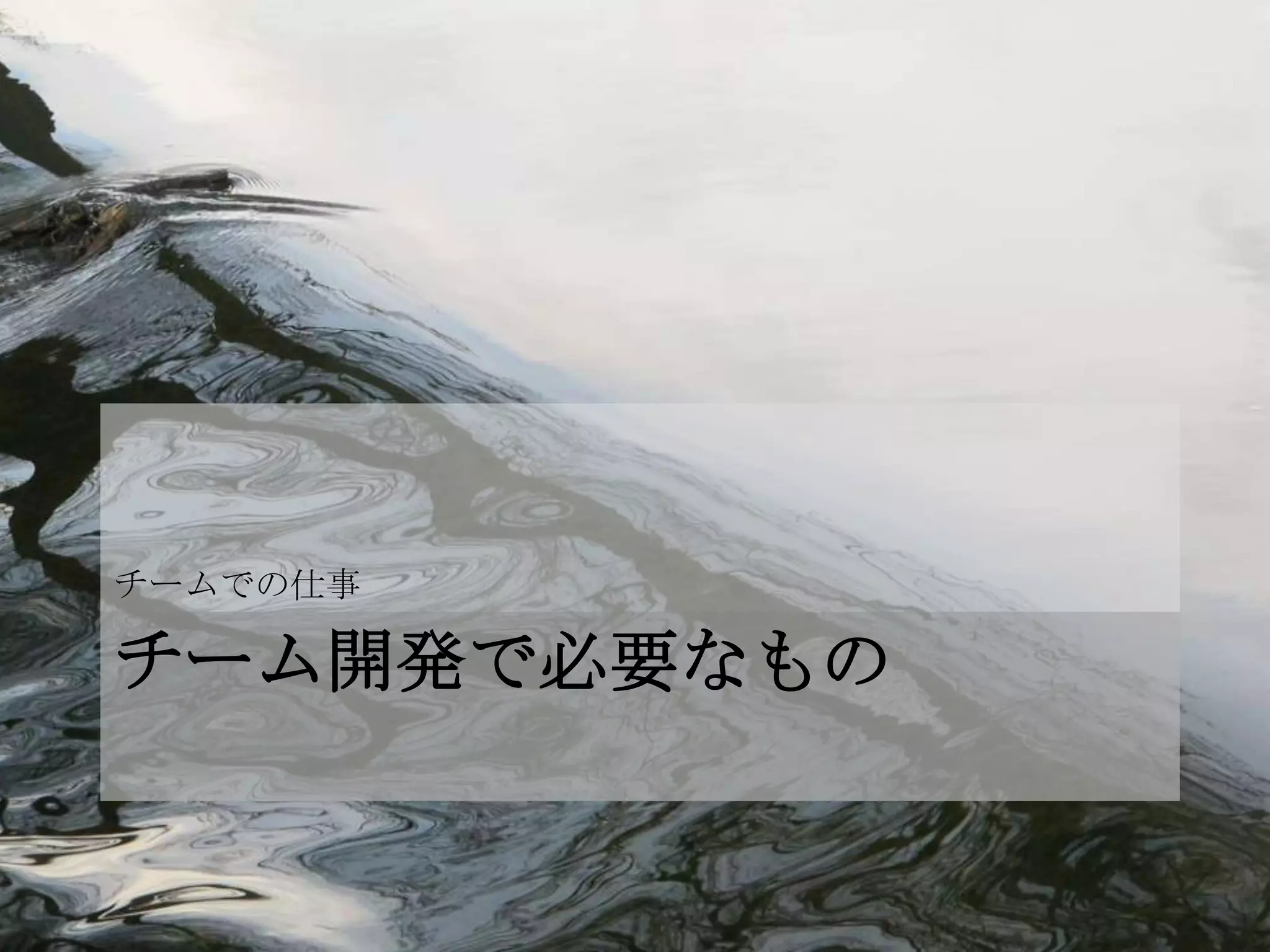 チームでの仕事

チーム開発で必要なもの
 