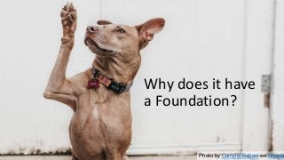 Photo by Camylla Battani on Unspla
Why does it have
a Foundation?
 