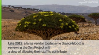 Picture by Lars Kurth
Dragonblood Tree in Socotra
Late2015: alargevendor(codenameDragonblood)is
reviewingtheXenProjectwith...