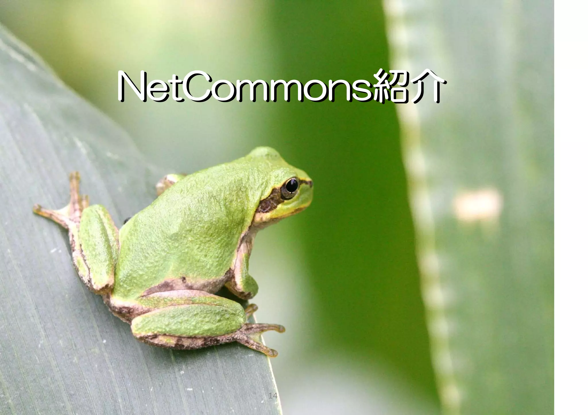 NetCommons紹介




     14
 