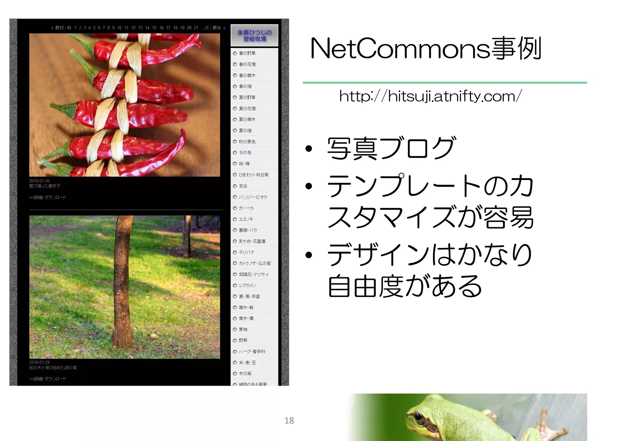 NetCommons事例
      http://hitsuji.atnifty.com/


     • 写真ブログ
     • テンプレートのカ
       スタマイズが容易
     • デザインはかなり
       自由度がある



18
 