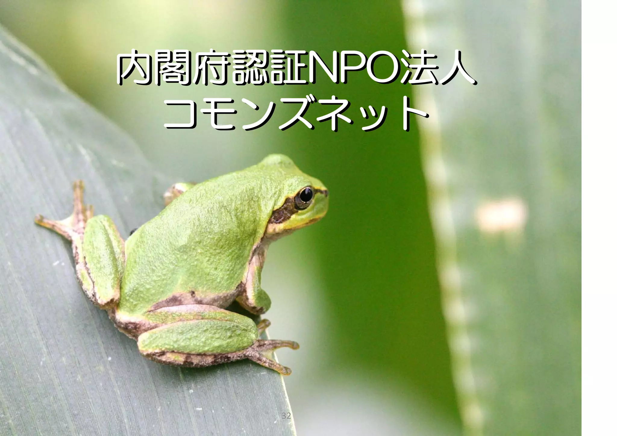 内閣府認証NPO法人
 コモンズネット




    32
 