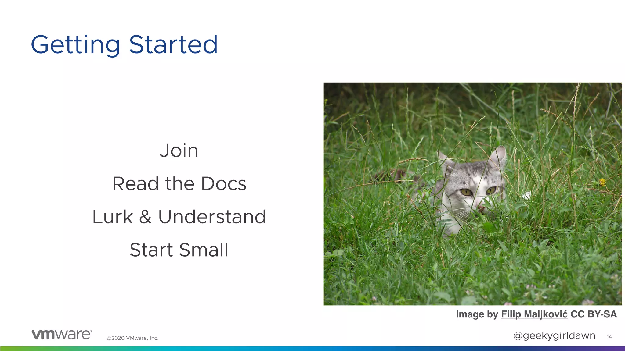 ©2020 VMware, Inc. @geekygirldawn
Join
Read the Docs
Lurk & Understand
Start Small
Image by Filip Maljković CC BY-SA
14
Getting Started
 