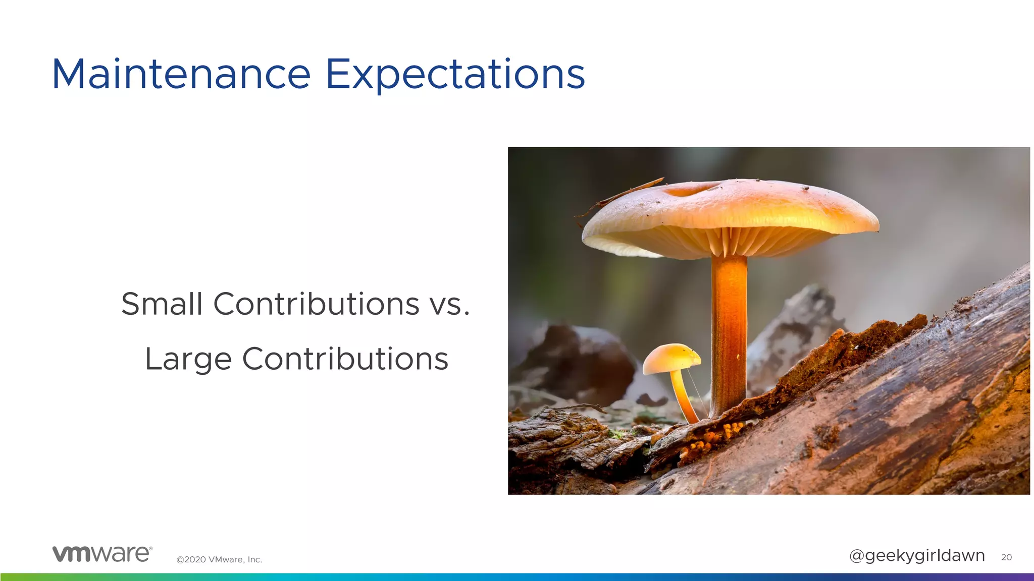 ©2020 VMware, Inc. @geekygirldawn
Small Contributions vs.
Large Contributions
20
Maintenance Expectations
 