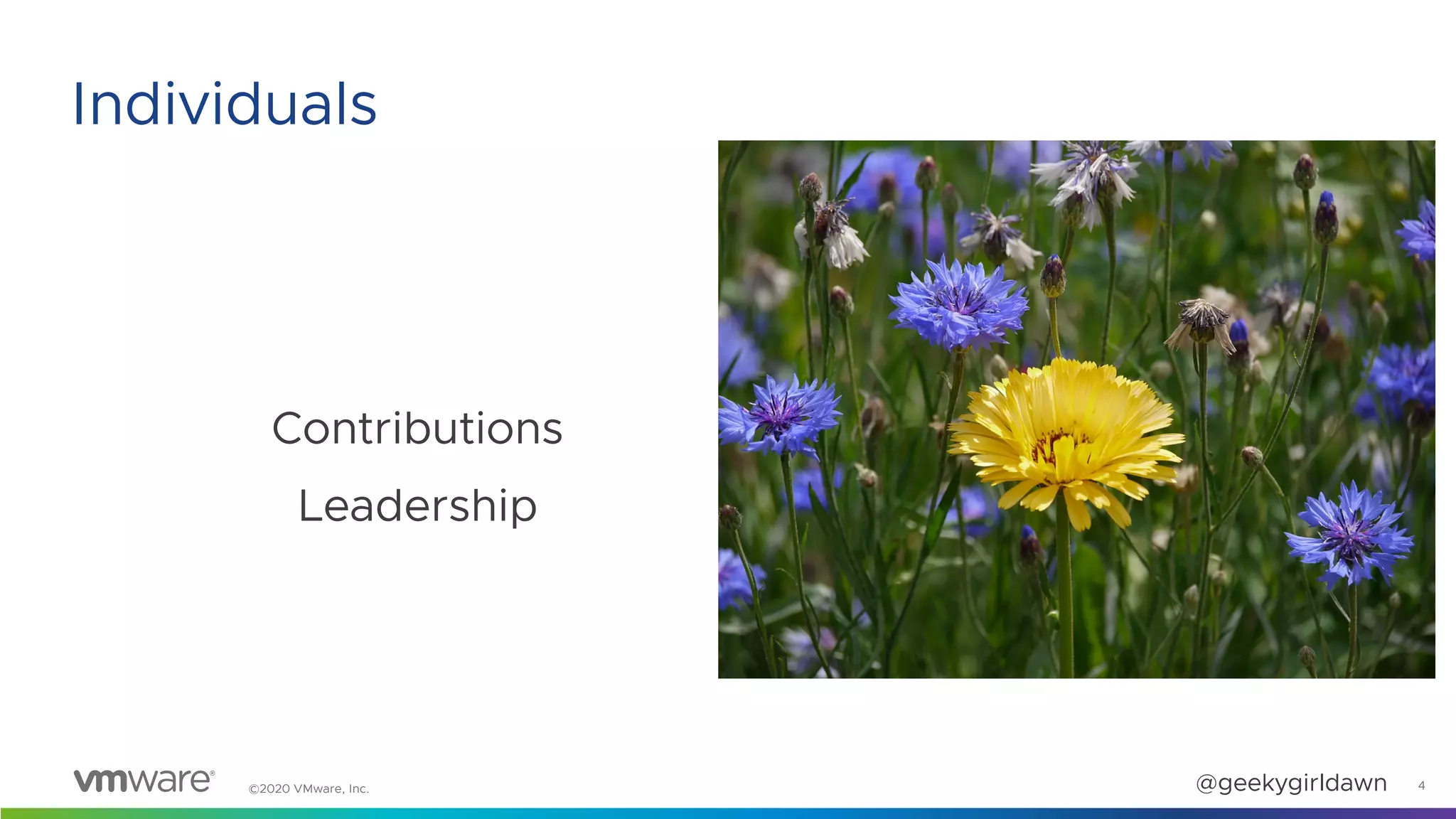 ©2020 VMware, Inc. @geekygirldawn
Contributions
Leadership
4
Individuals
 