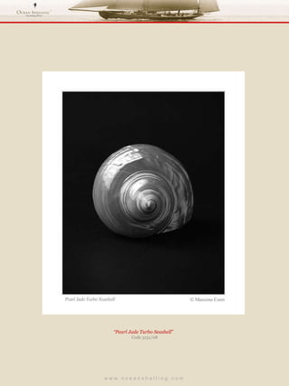 w w w . o c e a n s h e l l i n g . c o m  “ Pearl Jade Turbo Seashell”  Code 3151/08 