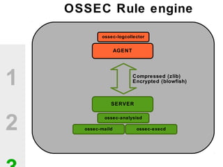 1
2
AGENT
SERVER
ossec-logcollector
ossec-analysisd
ossec-maild ossec-execd
Compressed (zlib)
Encrypted (blowfish)
OSSEC Rule engine
 