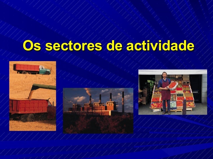 Os sectores de actividade 