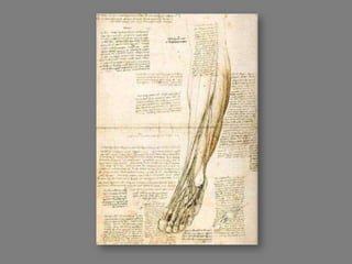 Os Segredos de Da Vinci