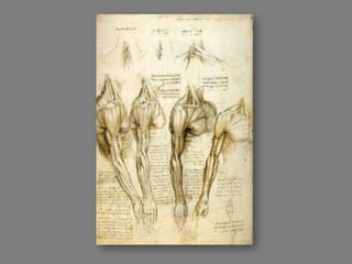 Os Segredos de Da Vinci