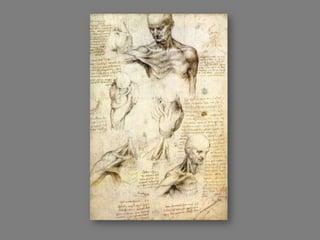 Os Segredos de Da Vinci