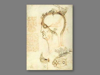 Os Segredos de Da Vinci