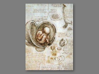 Os Segredos de Da Vinci