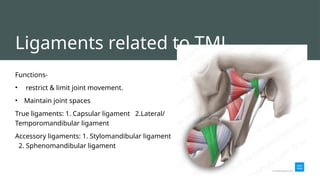 Os Multangular Joint Comprehensive Applied Surgical Anatomy of the Temporomandibular Joint ...