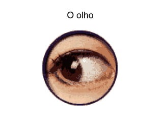 O olho  