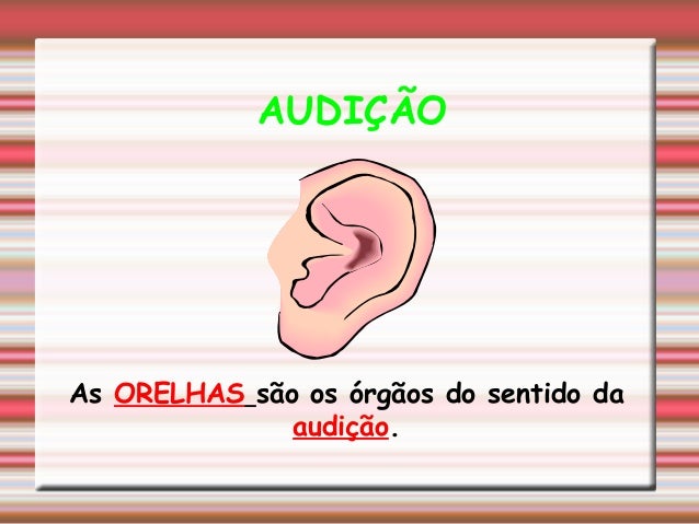 Resultado de imagem para https://image.slidesharecdn.com/ossentidos-111024111755-phpapp01-140313114543-phpapp01/95/os-5-sentidos-6-638.jpg?cb=1394711171