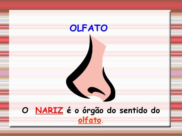 Resultado de imagem para https://image.slidesharecdn.com/ossentidos-111024111755-phpapp01-140313114543-phpapp01/95/os-5-sentidos-6-638.jpg?cb=1394711171