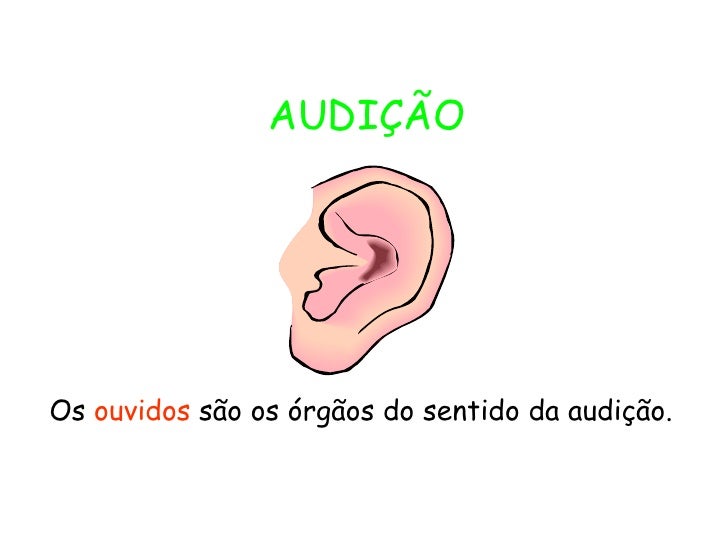 Sobre Os órgãos Do Sentido é Correto Afirmar Que