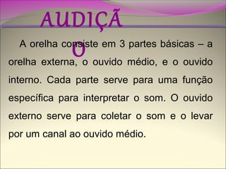 AUDIÇÃ
O

A orelha consiste em 3 partes básicas – a
orelha externa, o ouvido médio, e o ouvido
interno. Cada parte serve para uma função
específica para interpretar o som. O ouvido
externo serve para coletar o som e o levar
por um canal ao ouvido médio.

 