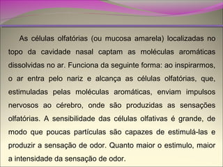 As células olfatórias (ou mucosa amarela) localizadas no
topo da cavidade nasal captam as moléculas aromáticas
dissolvidas no ar. Funciona da seguinte forma: ao inspirarmos,
o ar entra pelo nariz e alcança as células olfatórias, que,
estimuladas pelas moléculas aromáticas, enviam impulsos
nervosos ao cérebro, onde são produzidas as sensações
olfatórias. A sensibilidade das células olfativas é grande, de
modo que poucas partículas são capazes de estimulá-las e
produzir a sensação de odor. Quanto maior o estimulo, maior
a intensidade da sensação de odor.

 