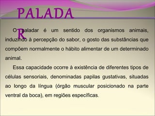 PALADA
R

O paladar é um sentido dos organismos animais,
induzindo à percepção do sabor, o gosto das substâncias que
compõem normalmente o hábito alimentar de um determinado
animal.
Essa capacidade ocorre à existência de diferentes tipos de
células sensoriais, denominadas papilas gustativas, situadas
ao longo da língua (órgão muscular posicionado na parte
ventral da boca), em regiões específicas.

 
