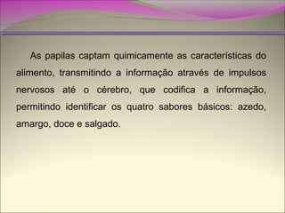 As papilas captam quimicamente as características do
alimento, transmitindo a informação através de impulsos
nervosos até o cérebro, que codifica a informação,
permitindo identificar os quatro sabores básicos: azedo,
amargo, doce e salgado.

 