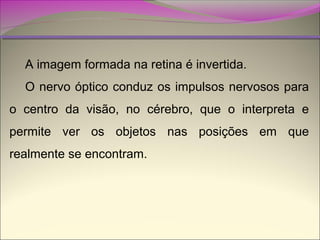 A imagem formada na retina é invertida.
O nervo óptico conduz os impulsos nervosos para
o centro da visão, no cérebro, que o interpreta e
permite ver os objetos nas posições em que
realmente se encontram.

 