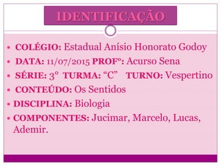 IDENTIFICAÇÃO
 COLÉGIO: Estadual Anísio Honorato Godoy
 DATA: 11/07/2015 PROF°: Acurso Sena
 SÉRIE: 3° TURMA: “C” TURNO: Vespertino
 CONTEÚDO: Os Sentidos
 DISCIPLINA: Biologia
 COMPONENTES: Jucimar, Marcelo, Lucas,
Ademir.
 