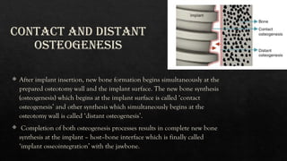 OSSEO INTEGRATION Of Bone In Human Body PPTX osseo-integration-of-bone-in-human-body-pptx