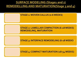 STAGE 1: WOVEN CALLUS (0-6 WEEKS)
STAGE 2: LAMELLAR COMPACTION (6-18 WEEKS)
REMODELING, MATURATION
STAGE 3: INTERFACE REMODELING (6-18 WEEKS)
STAGE 4: COMPACT MATURATION (18-54 WEEKS)
 
