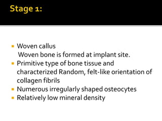  Woven callus
Woven bone is formed at implant site.
 Primitive type of bone tissue and
characterized Random, felt-like orientation of
collagen fibrils
 Numerous irregularly shaped osteocytes
 Relatively low mineral density
 