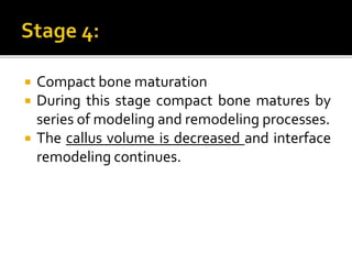  Compact bone maturation
 During this stage compact bone matures by
series of modeling and remodeling processes.
 The callus volume is decreased and interface
remodeling continues.
 