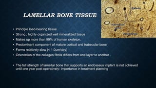 LAMELLAR BONE TISSUE
• Principle load-bearing tissue
• Strong , highly organized well mineralized tissue
• Makes up more than 99% of human skeleton.
• Predominant component of mature cortical and trabecular bone
• Forms relatively slow (< 1.0µm/day)
• Orientation of the collagen fibrils differs from one layer to another .
• The full strength of lamellar bone that supports an endosseus implant is not achieved
until one year post operatively- importance in treatment planning
 