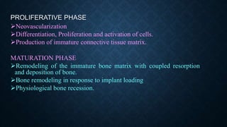 PROLIFERATIVE PHASE
Neovascularization
Differentiation, Proliferation and activation of cells.
Production of immature connective tissue matrix.
MATURATION PHASE
Remodeling of the immature bone matrix with coupled resorption
and deposition of bone.
Bone remodeling in response to implant loading
Physiological bone recession.
 