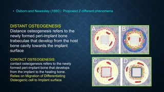 • Osborn and Newesley (1980) : Proposed 2 different phenomena
DISTANT OSTEOGENESIS
Distance osteogenesis refers to the
newly formed peri-implant bone
trabeculae that develop from the host
bone cavity towards the implant
surface
CONTACT OSTEOGENESIS
contact osteogenesis refers to the newly
formed peri-implant bone that develops
from the implant to the healing bone.
Relies on Migration of Differentiating
Osteogenic cell to Implant surface
 