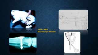 1952 – Vital
Microscopic Studies
 