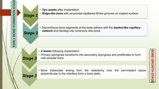 Stage 2
• Two weeks after implantation
• Ridge-like bone with sinusoidal capillaries fill the grooves on implant surface
Stage 2
• Discontinous bone segments at the base adhere with the basket-like capillary
network and develop into continous new bone.
EARLYBONEFORMATIONSTAG
Stage 3
• 4 weeks following implantation
• Primary spongiosa transforms into secondary spongiosa and proliferates to form
new alveolar bone
Stage 3
• Bone trabeculae arising from the osteotomy over the peri-implant space
perpendicular to the interface form a bone plate
BONEGROWTHSTAGE
 