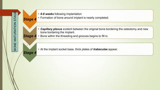 Stage 4
• 6-8 weeks following implantation
• Formation of bone around implant is nearly completed.
Stage 4
• Capillary plexus evident between the original bone bordering the osteotomy and new
bone bordering the implant.
• Bone within the threading and grooves begins to fill in.
Stage 4
• At the implant socket base, thick plates of trabeculae appear.
BONEMATURATIONSTAGE
 