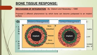 BONE TISSUE RESPONSE:
MECHANISM OF INTEGRATION: By Osborn and Newesley – 1980
Proposed 2 different phenomenon by which bone can become juxtaposed to an implant
surface.
•Distance Osteogenesis:
 A gradual process of bone healing inward from
the edge of the osteotomy toward the implant.
Bone does not grow directly on the implant
surface.
 Impossible to achieve a phenomenon called
bone bonding as implant surface-obscured by
interveneing cells and connective tissue extra-
cellular matrix.
•Contact Osteogenesis :
 The direct migration of bone-
building cells through the clot matrix
to the implant surface.
 Bone is quickly formed directly on
the implant surface.
 bone bonding will occur provided
appropriate surface topography of
implant
 