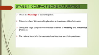 STAGE 4: COMPACT BONE MATURATION
 This is the of osseointegration.
 This occurs form 18th week of implantation and continues till the 54th week.
 During this stage compact bone matures by series of modeling and remodeling
processes.
 The callus volume is further decreased and interface remodeling continues.
 