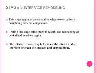 STAGE 3:INTERFACE REMODELING
 This stage begins at the same time when woven callus is
completing lamellar compaction.
 During this stage callus starts to resorb, and remodeling of
devitalized interface begins.
 The interface remodeling helps in establishing a viable
interface between the implant and original bone.
 